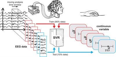 Decoding continuous variables from event-related potential (ERP) data with linear support vector regression using the Decision Decoding Toolbox (DDTBOX)